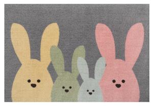 Hanse Home Collection koberce Protiskluzová rohožka Printy 104452 Grey, Multicolor - 40x60 cm