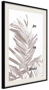 Artgeist Beige Palm Velikosti (šířkaxvýška): 20x30, Finální vzhled: Černý rám s paspartou
