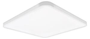 Top Light - LED Stropní svítidlo REVIT LED/50W/230V 3000-6500K 50x50 cm bílá+DO