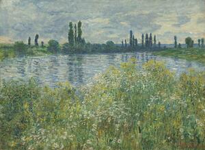 Obrazová reprodukce Banks of the Seine, Vétheuil (1880), Claude Monet