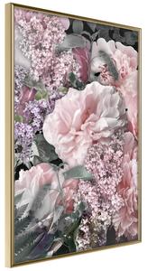 Artgeist Floral Life Velikosti (šířkaxvýška): 20x30, Finální vzhled: Černý rám s paspartou