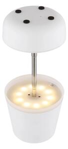Globo 36638W - LED Solární lampa 10xLED/0,06W/3V IP44 bílá