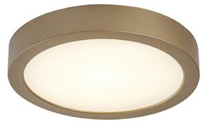 Rabalux SHAUN PLUS LED venkovní stropní svítidlo 75078