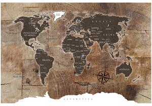 Korková nástěnná dekorační tabule Dřevěná mozaika [Korková mapa]