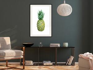 Plakát Ananas - kompozice s tropickým ovocem na jednobarevném bílém pozadí