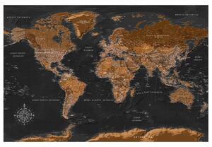 Korková nástěnná dekorační tabule Hnědá mapa světa