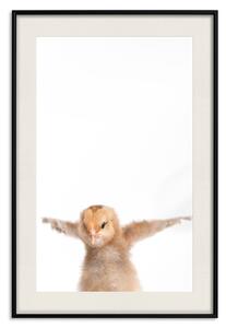 Plakát Kuřátko - kompozice pro děti s mladým ptákem, který roztahuje křídla