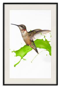 Plakát Kolibřík v letu
