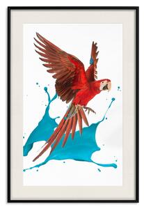 Plakát Papoušek ve vzduchu - barevný tropický pták a modré skvrny od malby