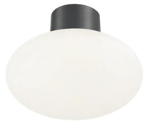 Ideal Lux - Venkovní stropní svítidlo CLIO 1xE27/42W/230V IP44 antracit