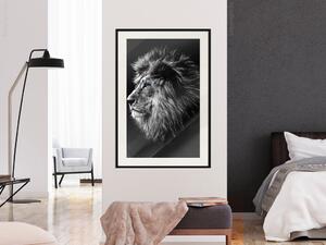 Plakát Černobílý lev