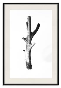 Plakát Stick - černobílá jednoduchá kompozice s řezaným sušeným stromem