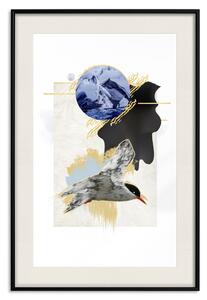 Plakát Antarktický rybák - barevná abstrakce s ptákem a zimní motiv