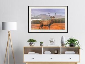 Plakát Skotský jelen - majestátní jelen na pozadí lesní krajiny a horského pásma