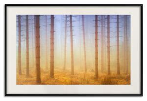 Plakát Mlhavý les - krajina holých stromů v hnědo-oranžových odstínech