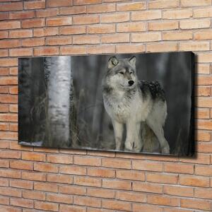 Foto obraz canvas Šedý vlk pl-oc-120x60-f-57875164