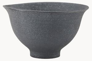 Mísa Pion