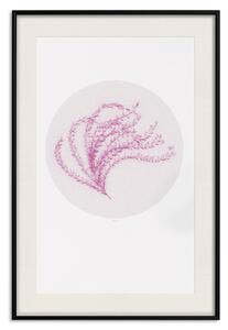 Plakát Jemná příroda - kompozice s růžovou rostlinou a kolem na světlém pozadí