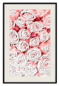Plakát Bílé růže - krásná kompozice v milostných květech světle růžové barvy