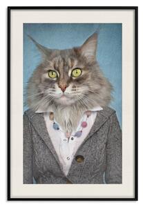 Plakát Paní Kočka - portrét domácího zvířete s lidskou siluetou v mikině