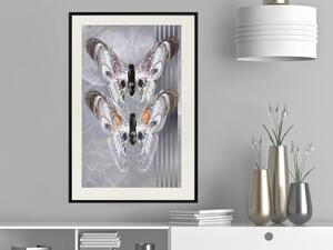 Plakát Pár motýlů - moderní kompozice s hmyzem na nepravidelném pozadí