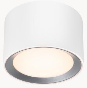 Stmívatelné stropní LED svítidlo Landon