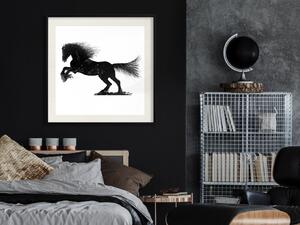 Plakát Kůň v klusu - černo-bílá kompozice se siluetou běžícího koně