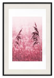 Plakát Rubínové klasy - jednoduchá kompozice s polními květinami v růžových barvách