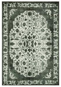 Hanse Home Collection koberce Kusový orientální koberec Chenille Rugs Q3 104751 Forest-Green - 80x150 cm