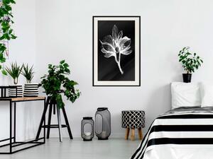 Plakát Noční květ - černobílá kompozice s jemným květinovým motivem