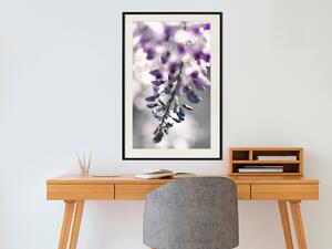 Plakát Fialové zvonky - botanická kompozice s jemnými fialovými květy