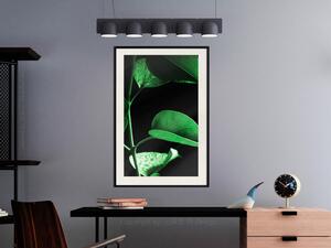 Plakát Rostlina v černém - rostlinná kompozice s zelenými listy na tmavém pozadí