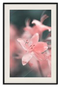 Plakát Pastelové květiny - botanická kompozice s růžovými květními plátky
