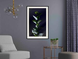 Plakát Ve světle měsíce - botanická kompozice s rostlinami na černém pozadí