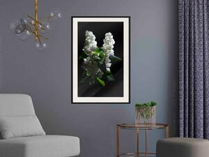 Plakát Bezinky v noci - kompozice s bílými jarními květy na černém pozadí