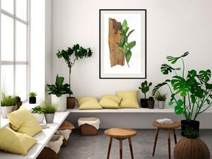 Plakát Fascinující příroda - rostlina a kus dřevěné desky na bílém pozadí