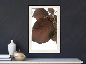 Plakát Podzimní listy - přírodní hnědý list v jasu světla