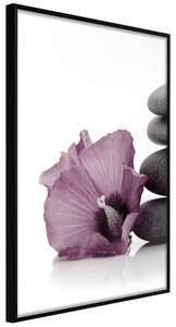 Artgeist Violet Harmony Velikosti (šířkaxvýška): 20x30, Finální vzhled: Černý rám s paspartou