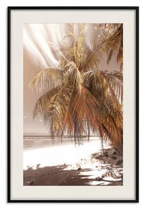 Plakát Palmový stín