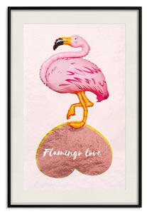 Plakát Zamilovaný plamenák - růžový pták a anglické nápisy na pastelovém pozadí