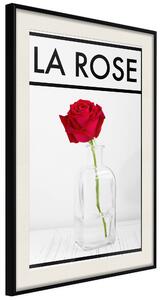 Artgeist Rose in the Vase Velikosti (šířkaxvýška): 20x30, Finální vzhled: Černý rám s paspartou