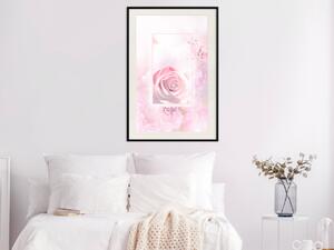 Plakát Svět růží - přírodní růžový květ s anglickými nápisy