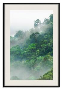 Plakát Šťavnatý les