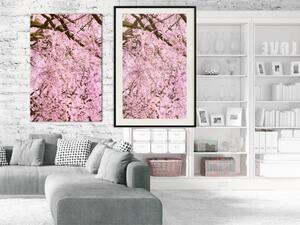 Plakát Třešňový strom - jarní kompozice stromů s světlými růžovými listy