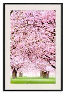 Plakát Třešňový sad - krajina zelené trávy a stromů s růžovými listy
