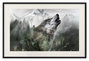Plakát Vyjící vlk