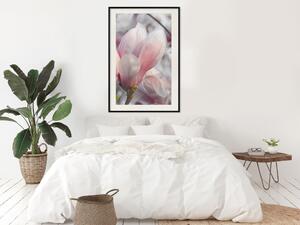 Plakát Zvěst jara - jarní rostlina s jemně růžovým květem