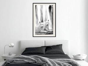 Plakát Lesní láska - pár vlků odpočívajících na kameni ve stylu černobílém