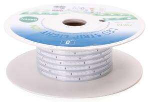 Aigostar - LED Pásek LED/350W/230V 50m zelená IP65