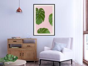 Plakát Fragment exotiky - zelené listy tropické monstery na růžovém pozadí